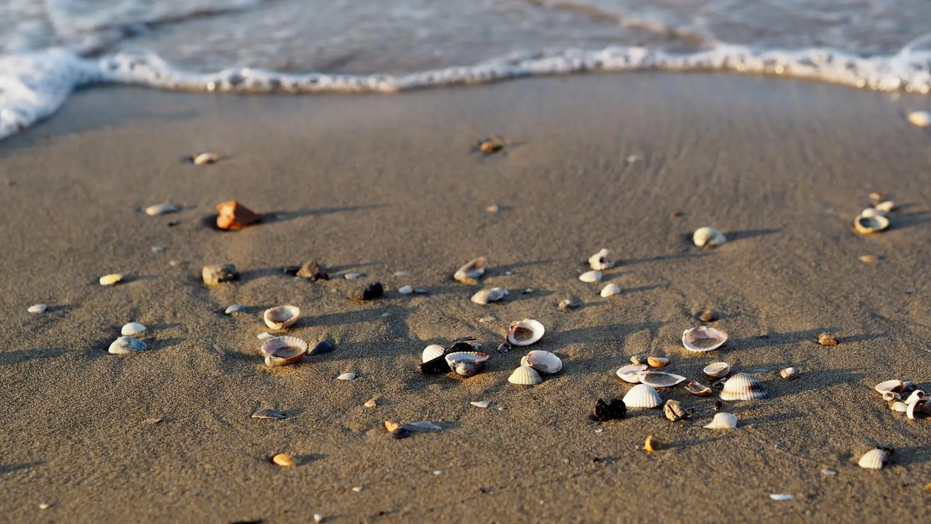 Superb Apartment With Sea View - Including Beach Place By Beahost Rentals Bibione Italy